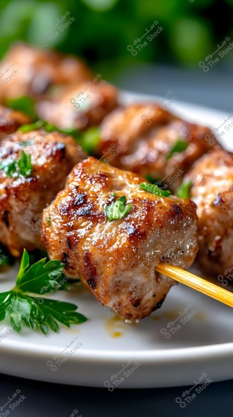 An image of a plate with skewers of grilled meat, showing juicy meat pieces with golden brown color topped with green parsley leaves. The skewers are placed on a white plate with an out-of-focus natural green background.