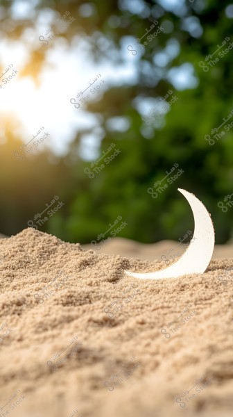 يظهر في الصورة هلال أبيض صغير مغموراً جزئياً في الرمال, مع خلفية طبيعية تشمل أشجاراً وخضرة ضبابية. يبرز ضوء الشمس بشكل ناعم من الزاوية اليسرى العلوية للصورة, مضيفاً إحساساً بالسلام والهدوء.