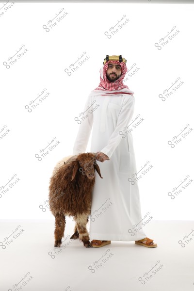 An image of a man wearing traditional Arab attire, including a white thobe and a red and white checkered keffiyeh with an agal. He is standing next to a brown sheep. The background is white and clean, highlighting the details of the clothing and the sheep.