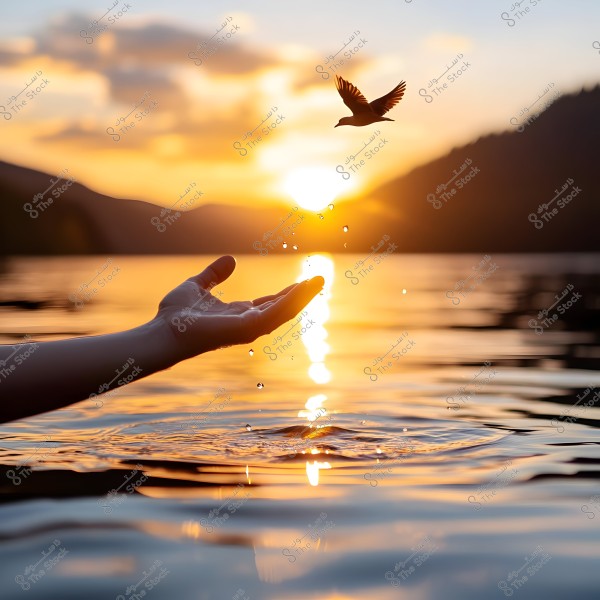 The image shows an outstretched hand above a water surface with droplets flying in the air. In the background, a small bird is flying towards the sky. The scene features a stunning sunset reflecting on the water\'s surface with mountains in the horizon and a sky filled with clouds.