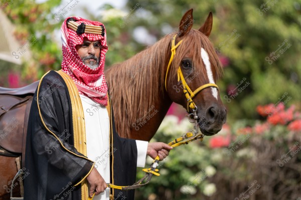A man dressed in traditional Arabian attire stands beside a brown horse with a yellow bridle. The background features plants and colorful flowers. The man is wearing a keffiyeh, agal, and a black embroidered cloak, suggesting the image might be from Saudi Arabia.