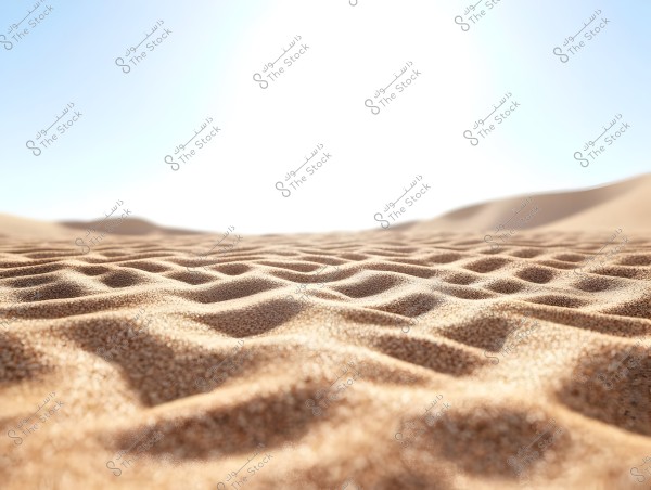 The image depicts a natural landscape of a desert with golden, rippled sands under bright sunlight. The horizon is blurred with some sand dunes visible in the background, giving a sense of the vast expanse of the desert.