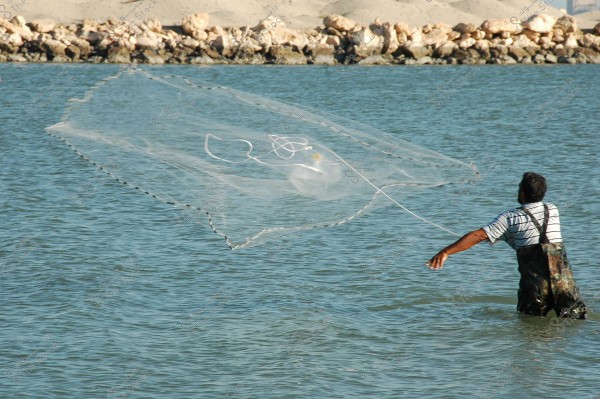 A man stands in the water and casts a large fishing net into the lake. He is wearing a striped black and white shirt and waterproof pants. In the background, there is a rocky shoreline. The water appears calm under the daylight.