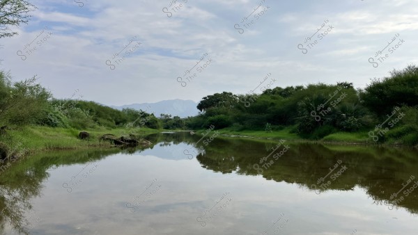 منظر طبيعي لنهر هادئ تحيط به الأشجار الخضراء المورقة من كلا الجانبين. السماء ملبدة بالغيوم مع بعض الشمس المشرقة, والتلال البعيدة تظهر في الخلفية. يعكس الماء الهادئ جمال الأشجار والسماء.