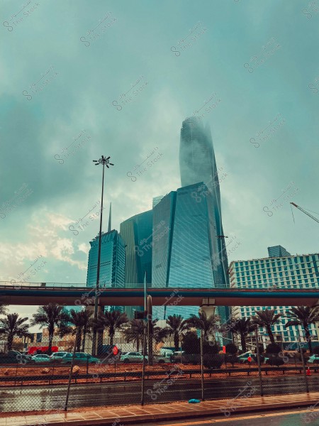 An image of modern skyscrapers surrounded by palm trees. The sky is overcast with clouds, and fog covers the top of one of the buildings. There are cars parked along the road, and safety barriers are set on the side of the street.
