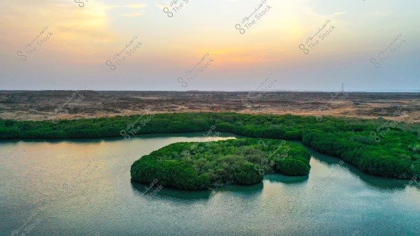 An aerial view of a coastal area featuring a dense mangrove forest, with blue waters winding through the lush green trees. The horizon is visible in the background with a partially cloudy sky at sunset, casting a warm glow over the panoramic scene. In the distance, barren land with sparse vegetation is visible.