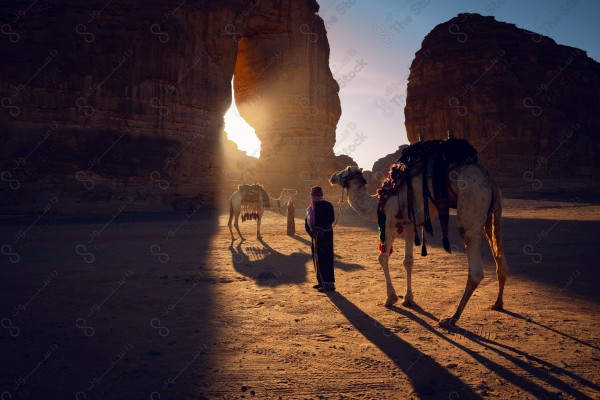 لقطة لرجل سعودي ممسك بالابل ومن خلفه يظهر جبل الفيل نهارا بالعلا، أماكن سياحية في السعودية