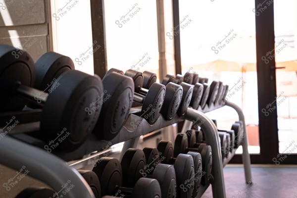 A rack of weights in a gym, featuring a set of black dumbbells organized on a two-tier metal rack. A large window is visible in the background, allowing natural light to illuminate the space.
