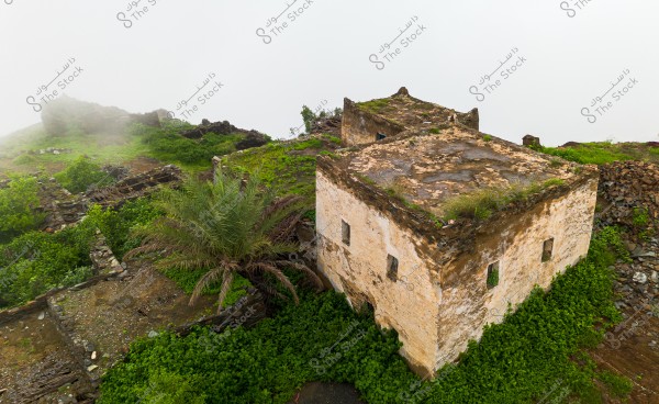 An image of the ruins of an old, dilapidated building in a foggy mountainous area covered in greenery. The building is made of stone and is in a state of disrepair, with remnants of a flat roof and rectangular windows. The structure is surrounded by dense vegetation and palm trees, with fog enveloping the background, giving a serene and mysterious atmosphere.
