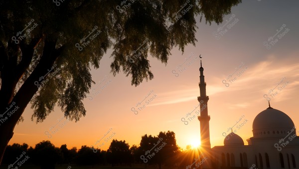 An image of a mosque with traditional Islamic architectural features, prominently displaying its minaret and dome. The sky is adorned with warm sunset colors and light clouds, with the sun nearing the horizon. In the foreground, there are dense, dark branches of a tree.