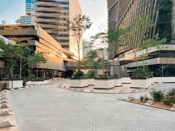 An image of a modern complex in an urban area featuring glass buildings with contemporary architectural design, reflecting sunlight on their facades. Green trees are planted in large square planters alongside the tiled gray pavement.