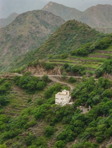 Image of a solitary house situated on a green hillside, surrounded by lush vegetation and trees. The area features terraced land formations. A paved road runs beside the house, with towering mountains visible in the background.