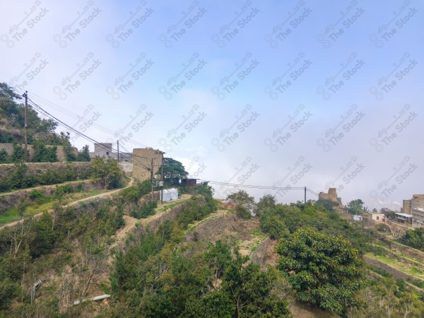 A shot high in the mountains of Faifa Governorate in the Jazan region in southern Saudi Arabia. Trees and forests, nature in Saudi Arabia.