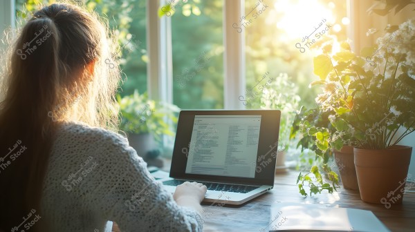 The image shows a woman sitting at a table with an open laptop. The scene is in a room with strong natural light coming from a window, casting golden sunlight. The woman wears a white knitted sweater and her hair is tied back. There are various green plants in pots on the table and around the window.
