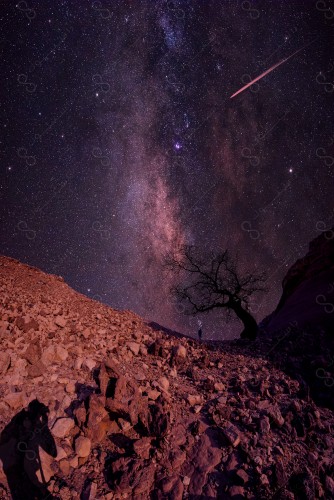 rocky ground on which a person stands under a tree in the middle of the desert whose sky is decorated with stars of the Milky Way