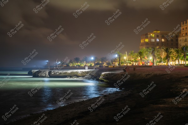 A night view of a seaside with street lights reflecting on the water. In the background, illuminated buildings, palm trees, and a large Ferris wheel are visible. The sky is dark with some clouds. The beach appears calm and deserted.