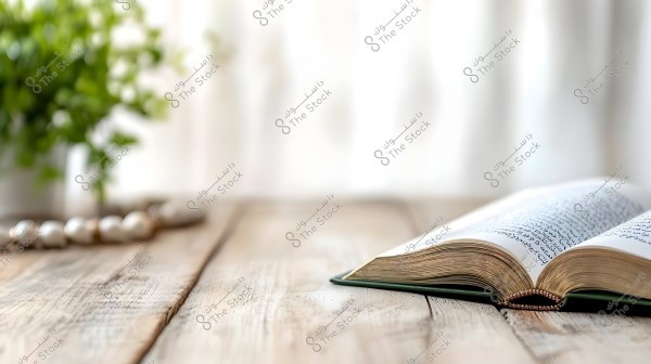 An open book on an aged wooden table, with a blurred background featuring green plants. The shimmering gold edges of the pages add a luxurious appearance.
