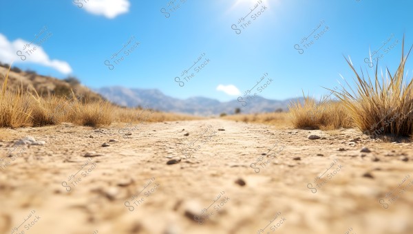 An image of a desert landscape, showing a dirt path surrounded by dry grass, with distant mountains in the background. The sky is blue with some small white clouds and the sun shining brightly.