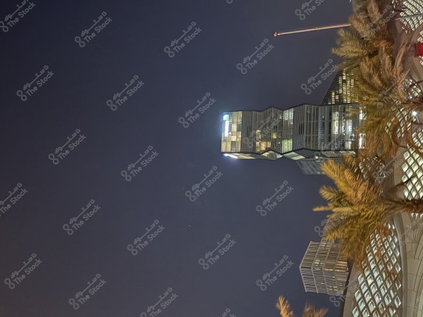 ابراج الرياض لا تخلي من النخيل