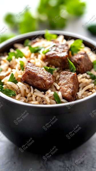 Image of a dish containing rice with cubes of meat. The rice appears well-cooked and garnished with green leafy herbs. The dish is served in a dark black bowl, with a blurred background highlighting the green color of the herbs.