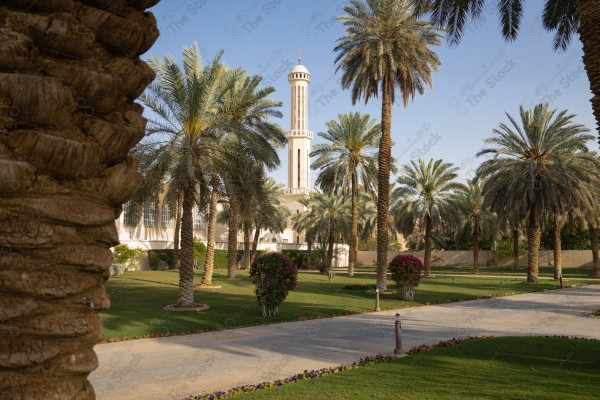 A white-painted mosque with a group of palm trees around it in the Riyadh region during the day, and the sky is clear