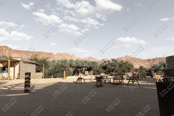 تمثل الصور مشاهد متنوعة من واحة العلا ومسار دادان، حيث تتناغم الطبيعة الساحرة مع العمارة التقليدية. تُظهر الجلسات الخارجية الهادئة المحاطة بأشجار النخيل والجبال الرملية خلفية مثالية للاستمتاع بالطبيعة. كما تُبرز الممرات الطينية والبيوت القديمة جمال التراث العمراني والتفاصيل الدقيقة للبناء الطيني التقليدي الذي يعكس تاريخ العلا العريق.