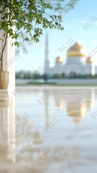 An image showing a potted tree with sunlight filtering through the leaves in the foreground, reflecting on a glossy floor. In the blurred background, a mosque with a golden dome and a tall minaret can be seen.