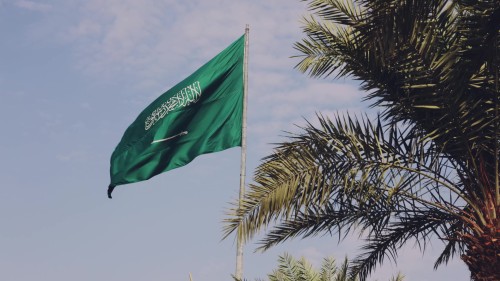 فيديو يظهر العلم السعودي يرتفع بفخر وسط الطبيعة، مع النخيل في المقدمة والسماء الزرقاء في الخلفية، مما يبرز جمال وطني.