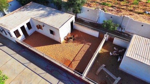 The video shows a group of deer in a fenced enclosure with white walls and a metal roof. The deer gather around a feeding trough on the sandy ground. The scene is set in a tranquil environment, partially shaded by nearby trees.\r\n\r\n-