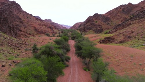 A video showcasing stunning views of a valley surrounded by red rocky mountains, with a dirt path lined by green trees. The video highlights the natural harmony of the area\'s diverse colors.\r\n\r\n-
