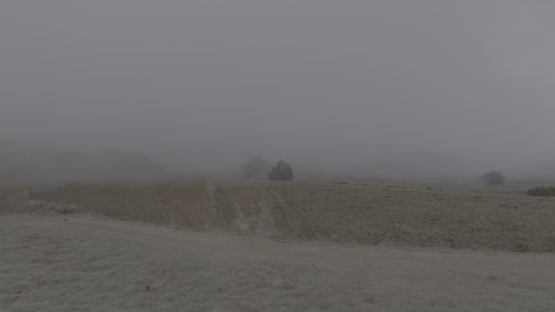 Video footage displays a foggy view of a rural area with scattered trees and dry land, creating a mysterious and tranquil atmosphere.\r\n\r\n-