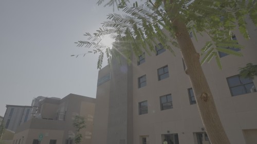 فيديو يعرض مشاهد من مبنى حديث يجمع بين الهندسة المعمارية المعاصرة والمناظر الطبيعية المحيطة، حيث تظهر أشجار خضراء وظلال الشمس على البناء.