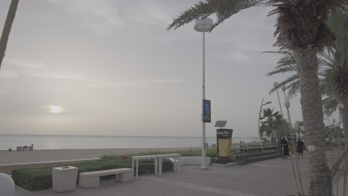 فيديو يصور ممشى على الواجهة البحرية عند غروب الشمس، يظهر فيه شاطئ هادئ وأشخاص يسيرون وركن للدراجات الكهربائية تحت النخيل مع أجواء طبيعية هادئة.