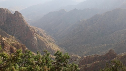 مشهد بانورامي لجبل الهدا في مدينة الطائف, تظهر فيها تدرجات الصخور الشاهقة مغطاة بغطاء نباتي متنوع تحت سماء ضبابية.\r\n\r\n-