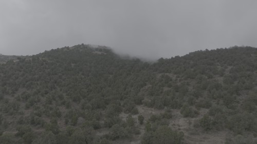 Video showcasing nature on a foggy day, featuring dense forests and trees covering the hills as mist envelops the area in a captivating and mysterious way.\r\n\r\n-